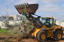  فيديو: هدم منزل لعائلة أبو رياش في الرملة واقتلاع اشجار الزيتون 